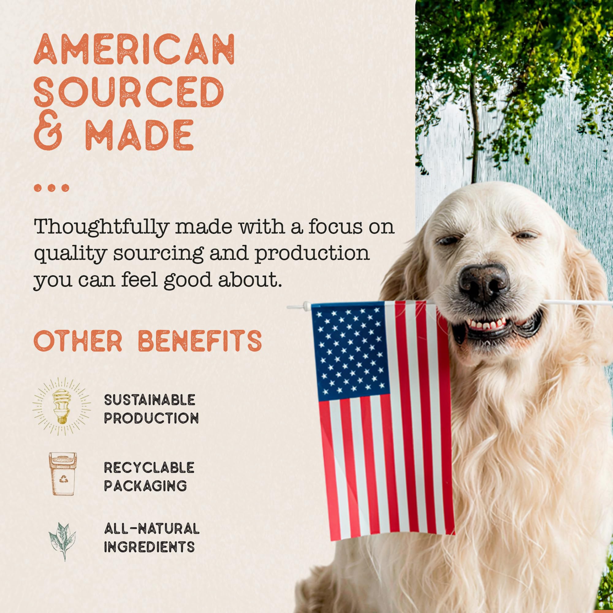 Dog Treat Naturals Proteína de res certificada USDA Palitos