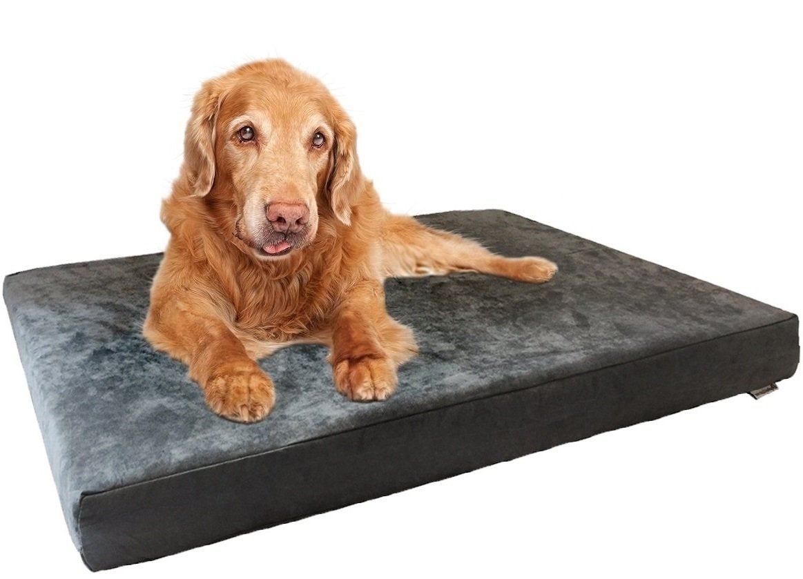 Dogbed4less Cama ortopédica gris con espuma de memoria gel para perros medianos