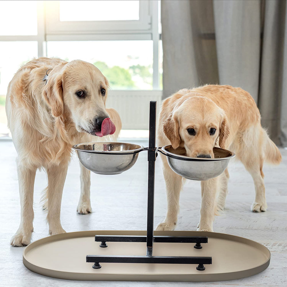 Apto para lavavajillas DogBuddy limpieza rápida y conveniente