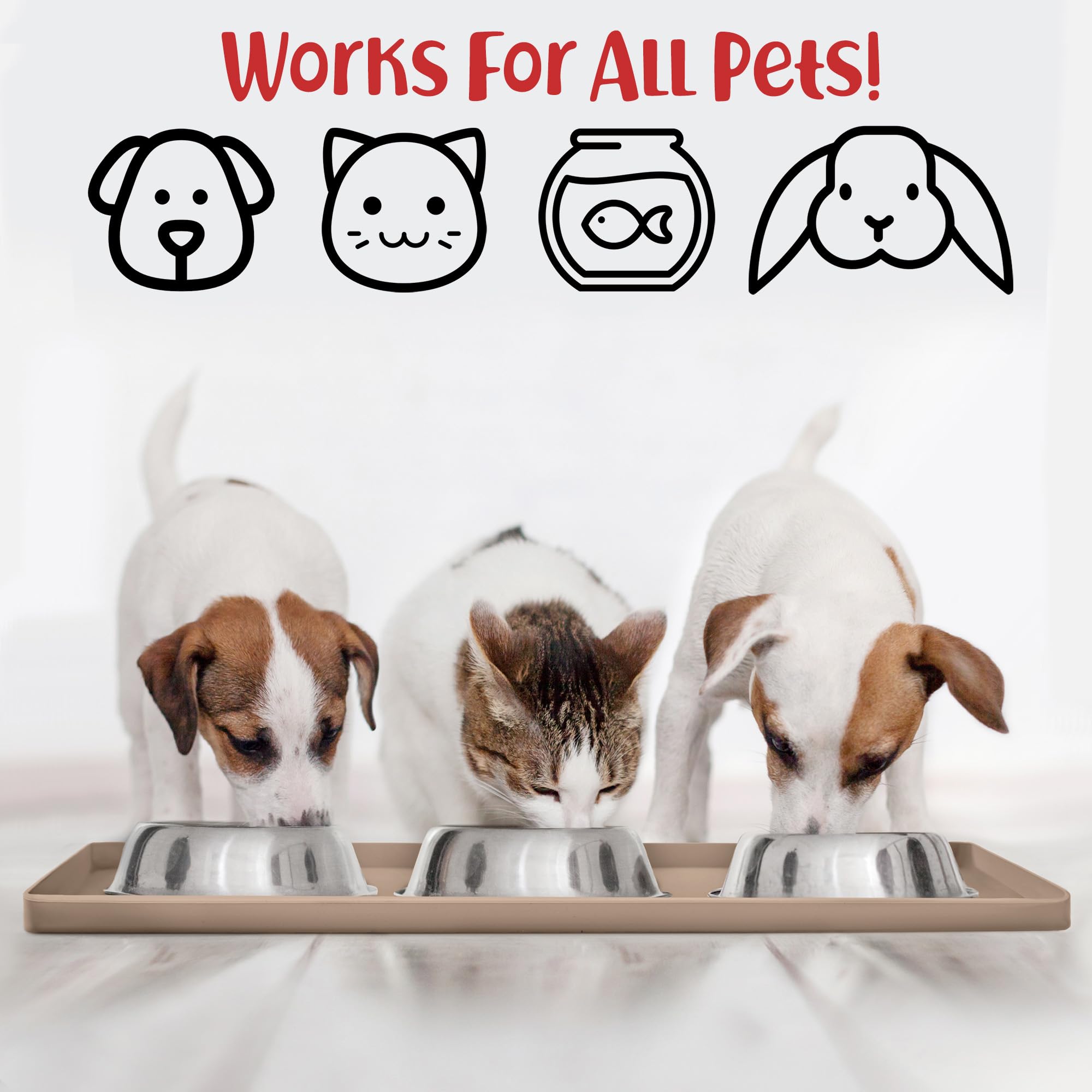 DogBuddy bordes altos (15 mm) previenen salpicaduras.