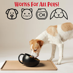 DogBuddy: limpieza fácil, apta para lavavajillas y limpieza rápida.