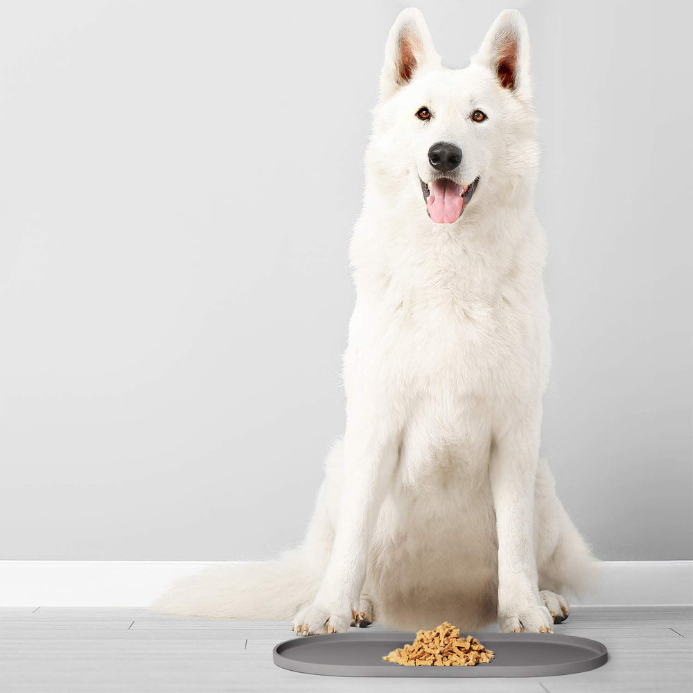DogBuddy tapete resistente y de alta calidad; uso prolongado.
