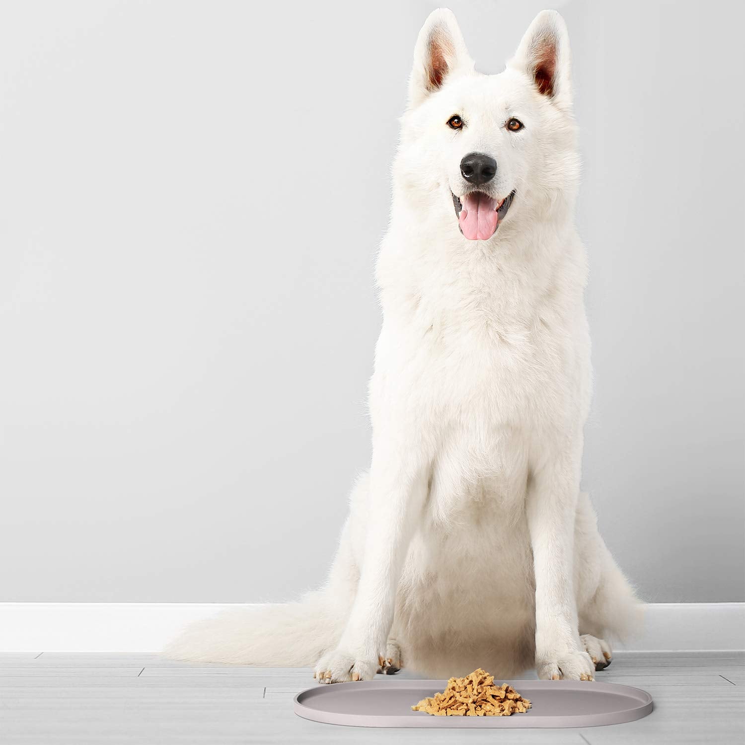 DogBuddy: apta para perros y gatos, facilita la alimentación mixta.