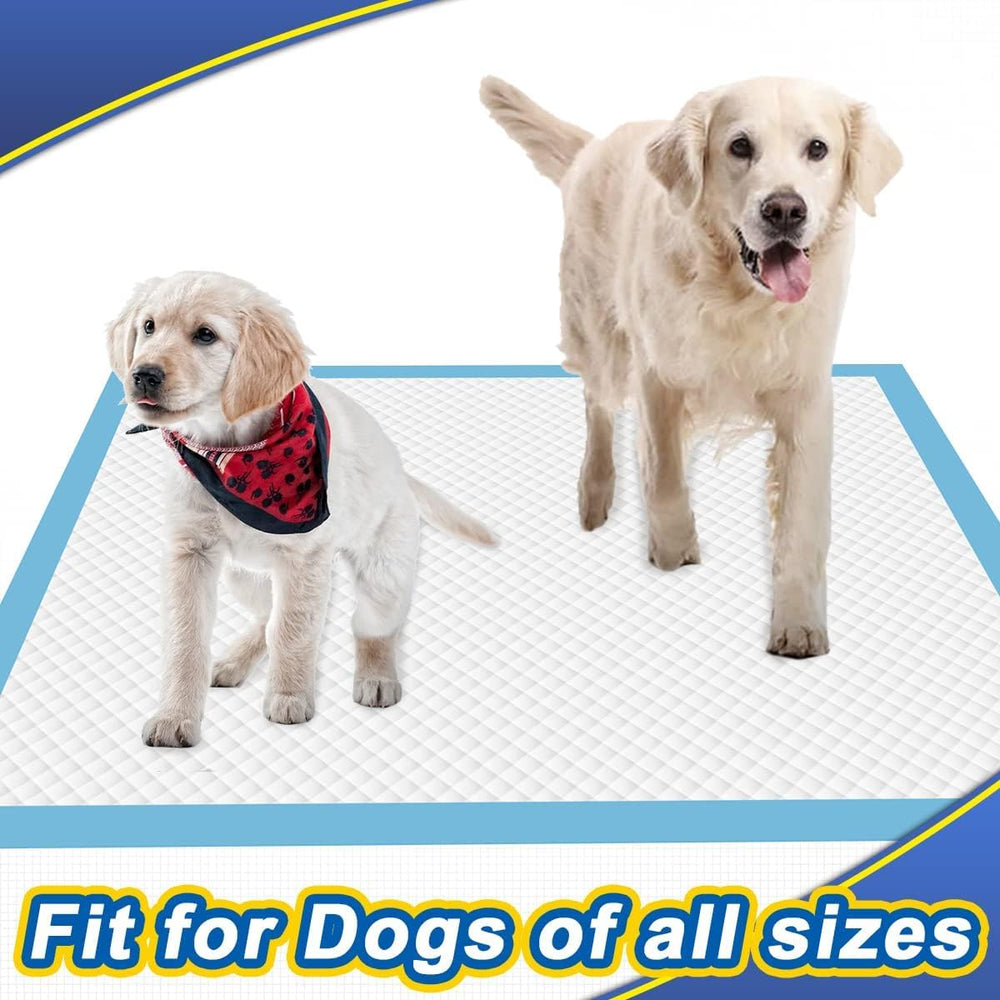 Dogcator absorción elevada ayuda a mantener limpio el hogar.