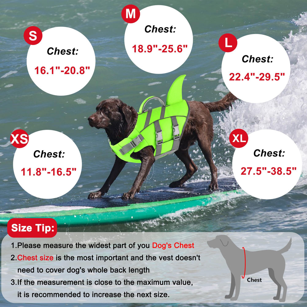 Dogcheer ideal para natación y paseos en agua.