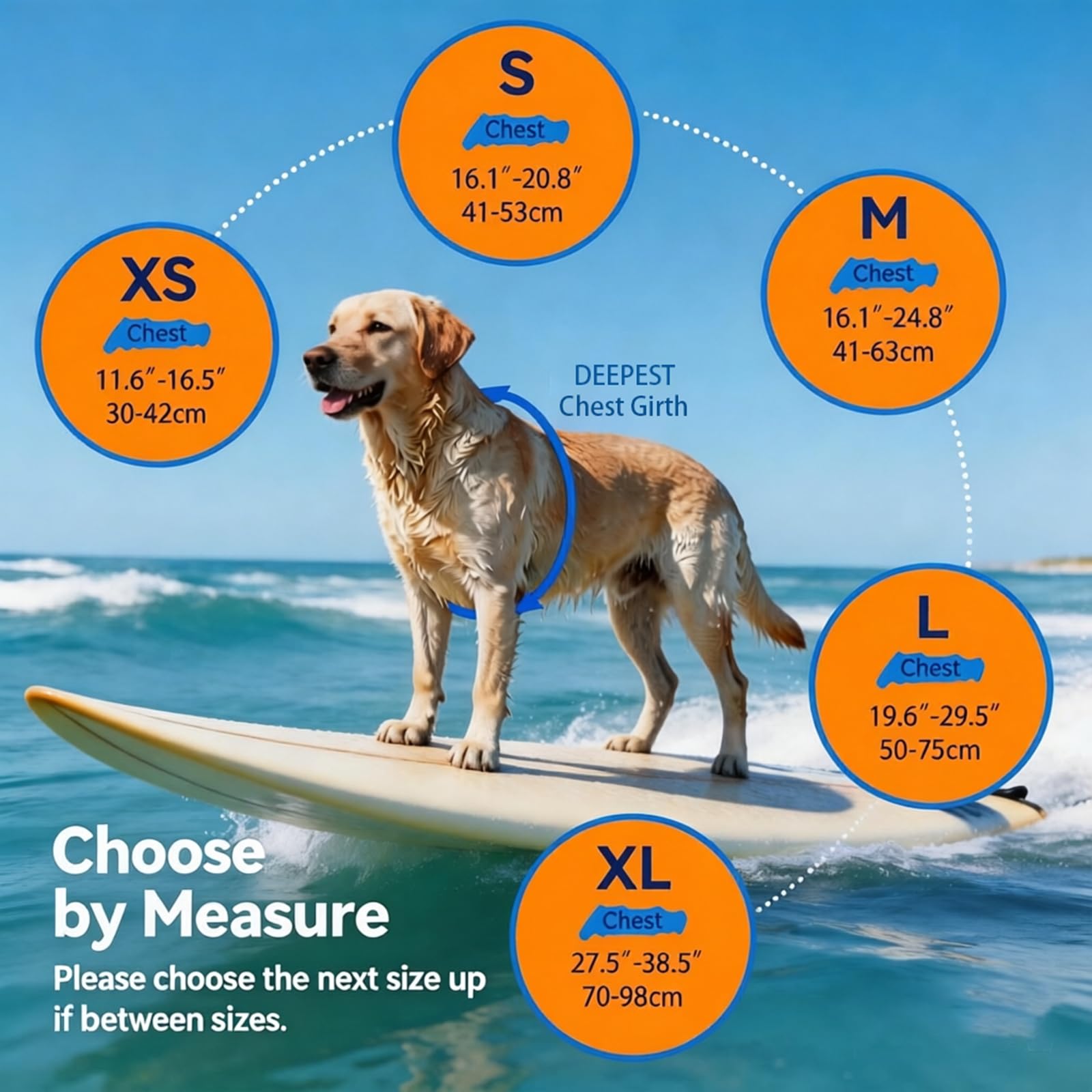 Dogcheer salvavidas para perro para aventuras acuáticas y paseos en agua