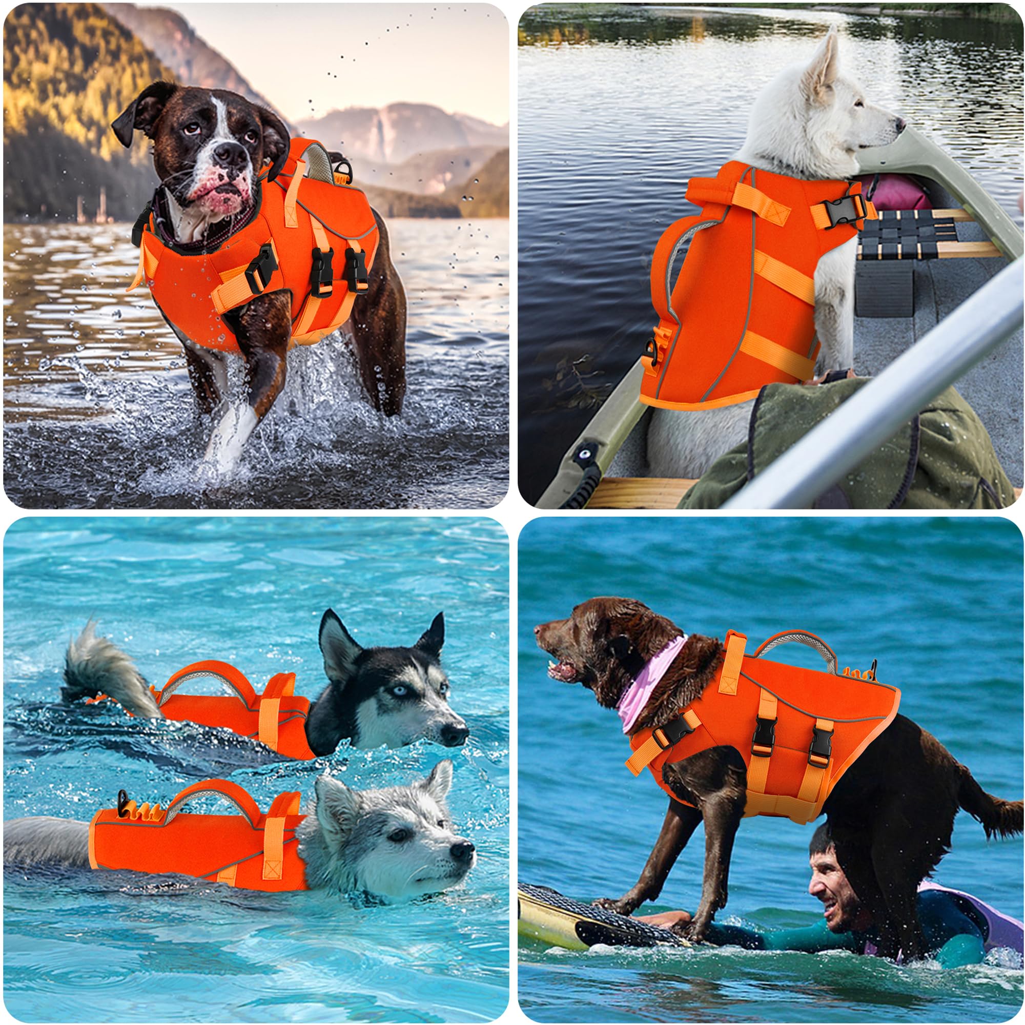 Dogcheer salvavidas para perro con visibilidad nocturna mejorada