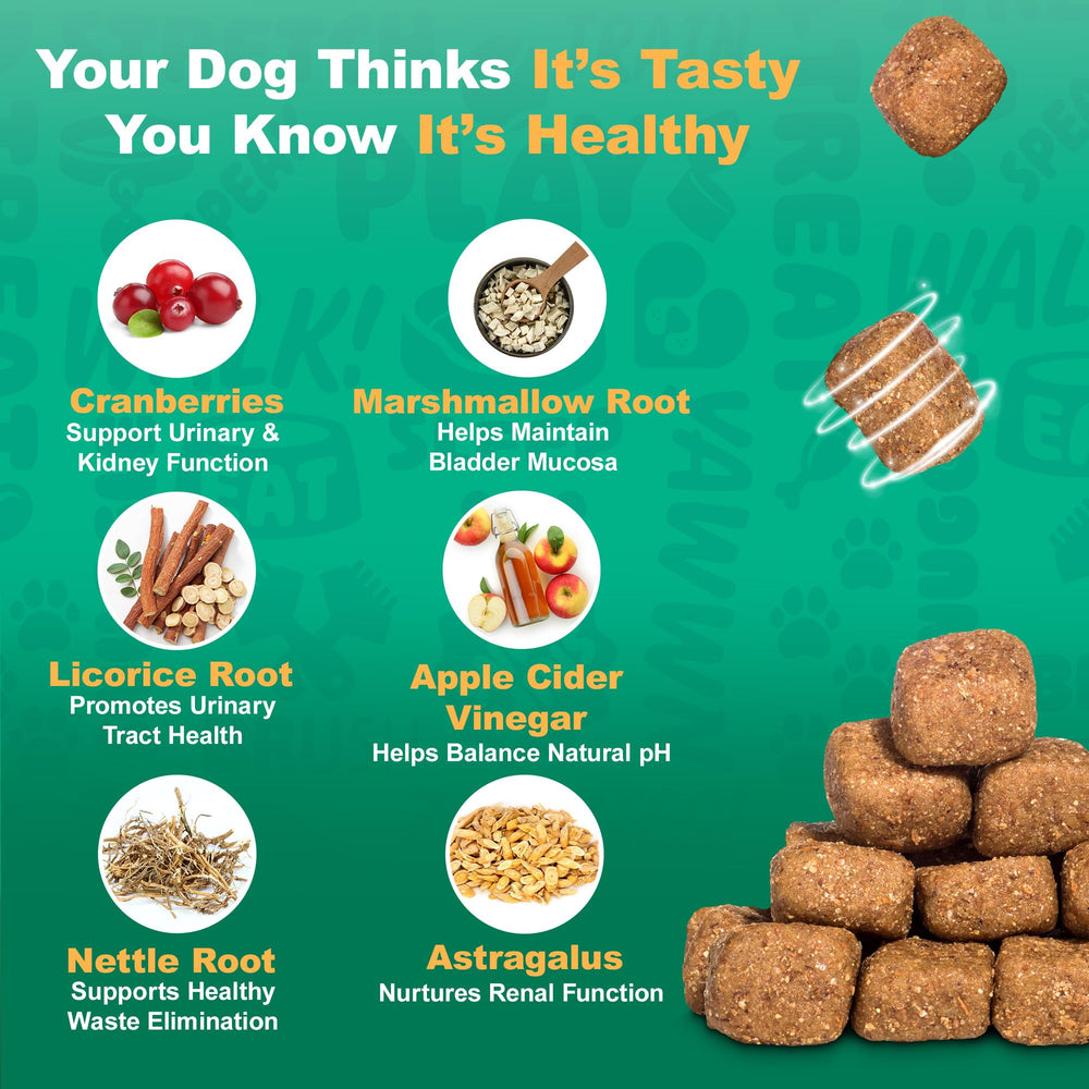 Doggie Dailies Cranberry Supplement primer plano ingredientes: enfoque en componentes clave