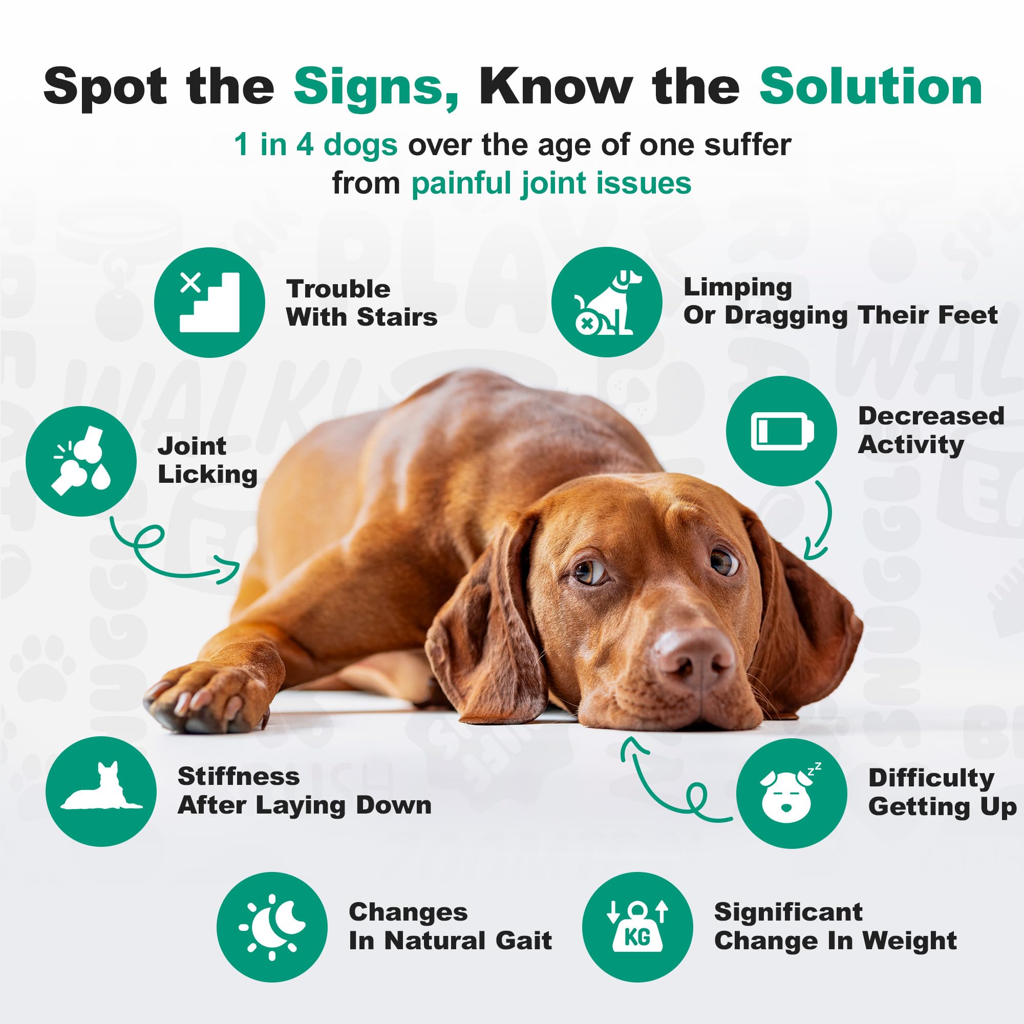 Doggie Dailies frasco con tapa de seguridad