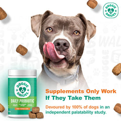 Doggie Dailies Probiotics con cinco cepas probióticas para apoyar la digestión.