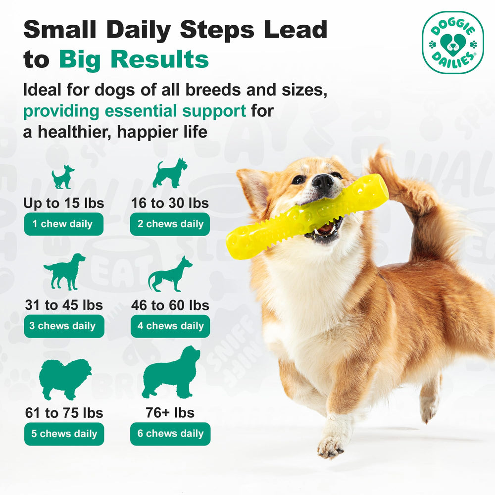 Doggie Dailies prueba de palabilidad para consumo fácil