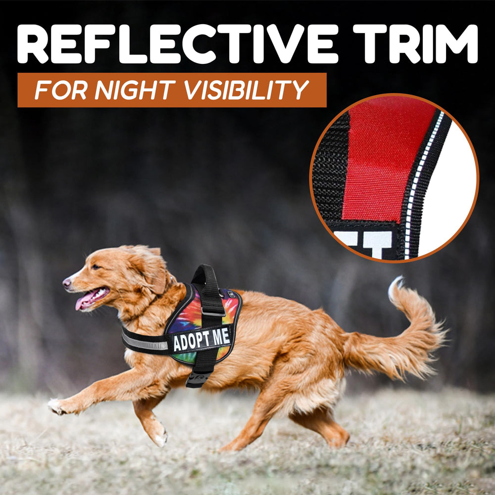 Doggie Stylz adoptame: ideal para refugios y hogares temporales.