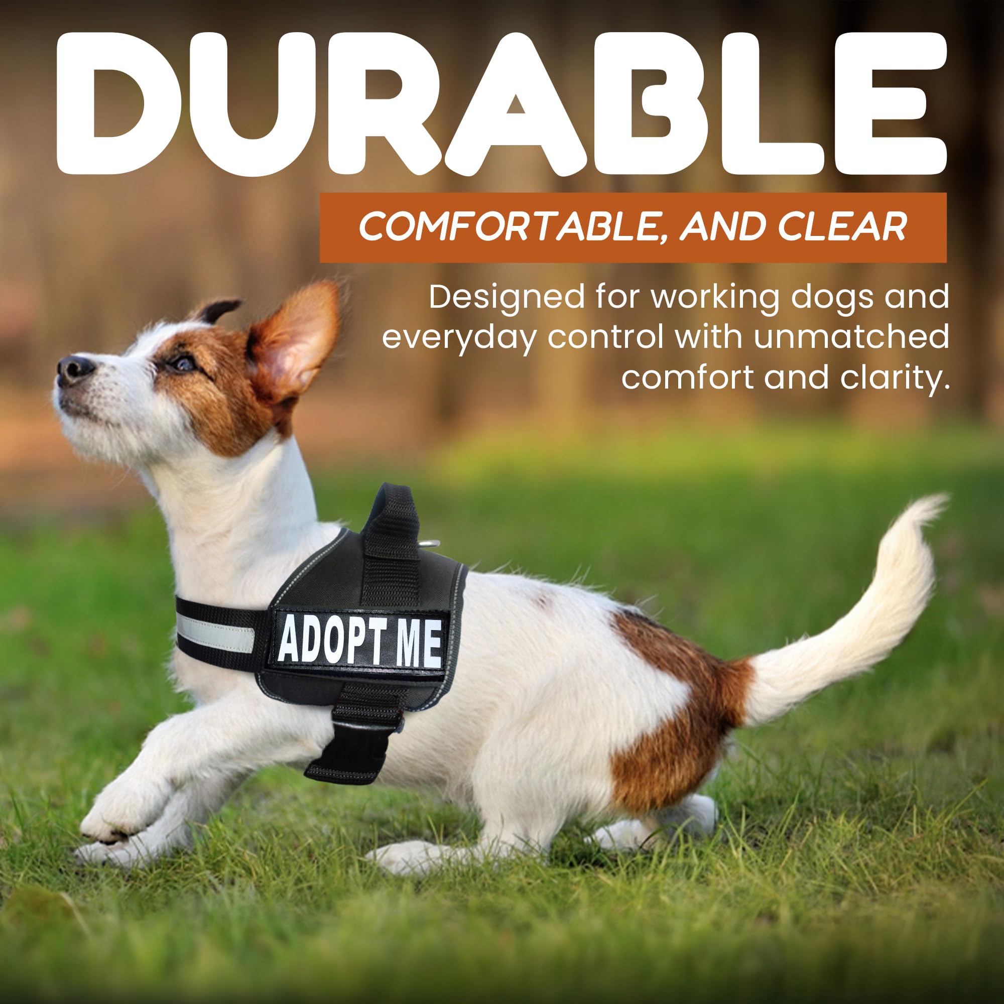 Doggie Stylz adoptame: diseño cómodo para caminatas sin tirar.