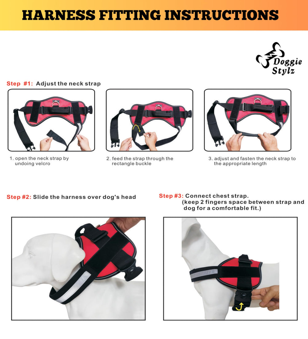 Doggie Stylz Adopt Me con parches: fomenta adopciones y personalización.