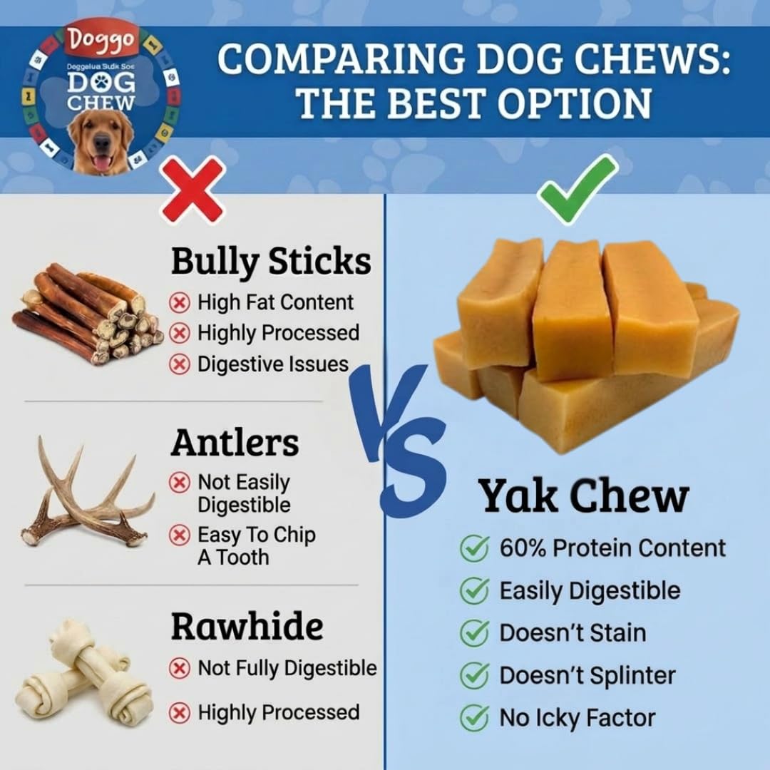 Doggo Dog Chew: sin hueso crudo, opción segura para perros de todas las tallas