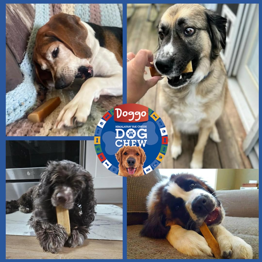 Doggo Dog Chew tamaño grande para razas grandes y masticadores fuertes