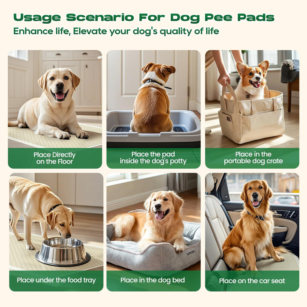 DOGGO DOUG 6 capas de protección para contener líquidos.