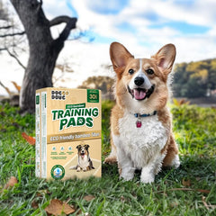 Pañales DOGGO DOUG con control de olor natural para casa fresca.
