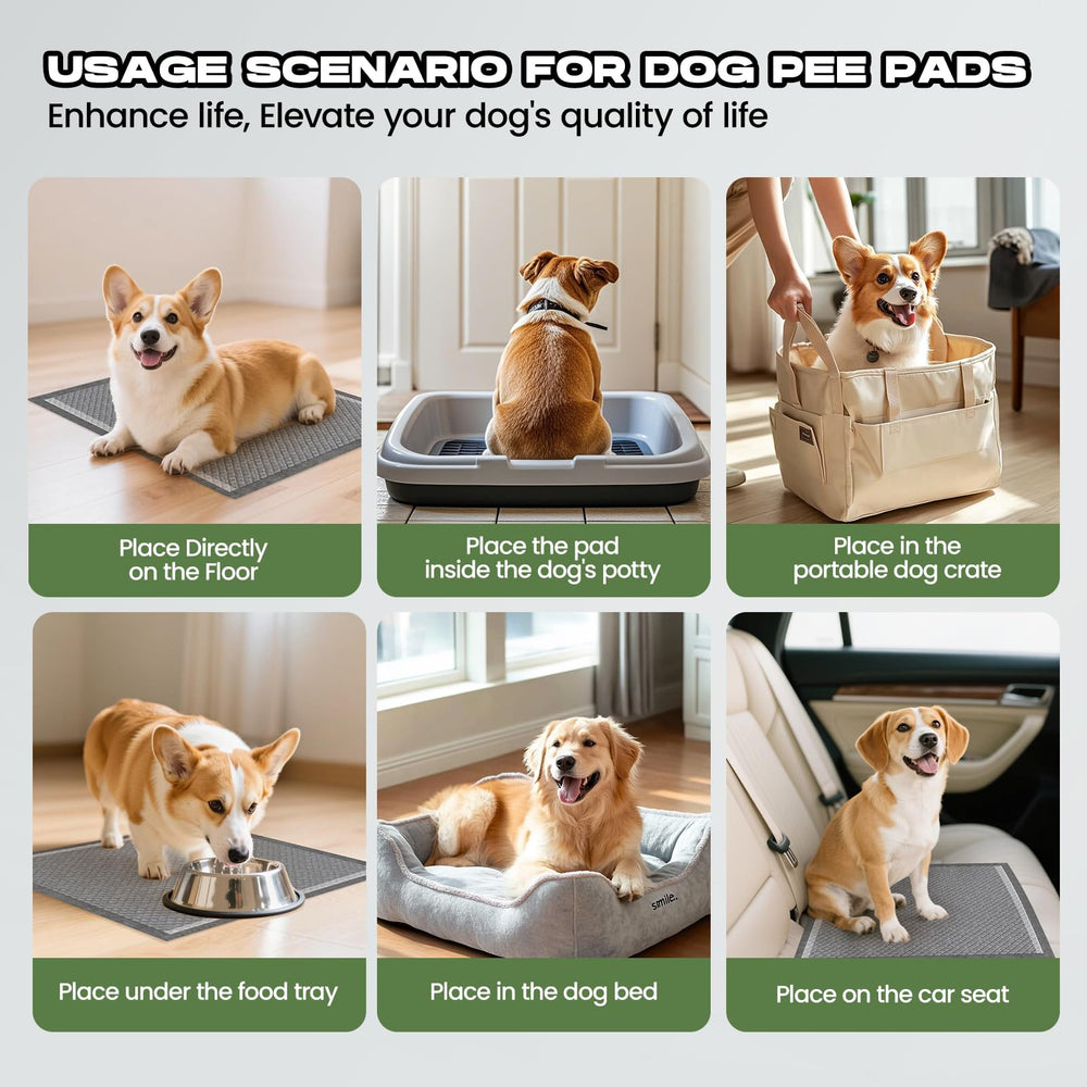 DOGGO DOUG paquete de 80 unidades para uso prolongado