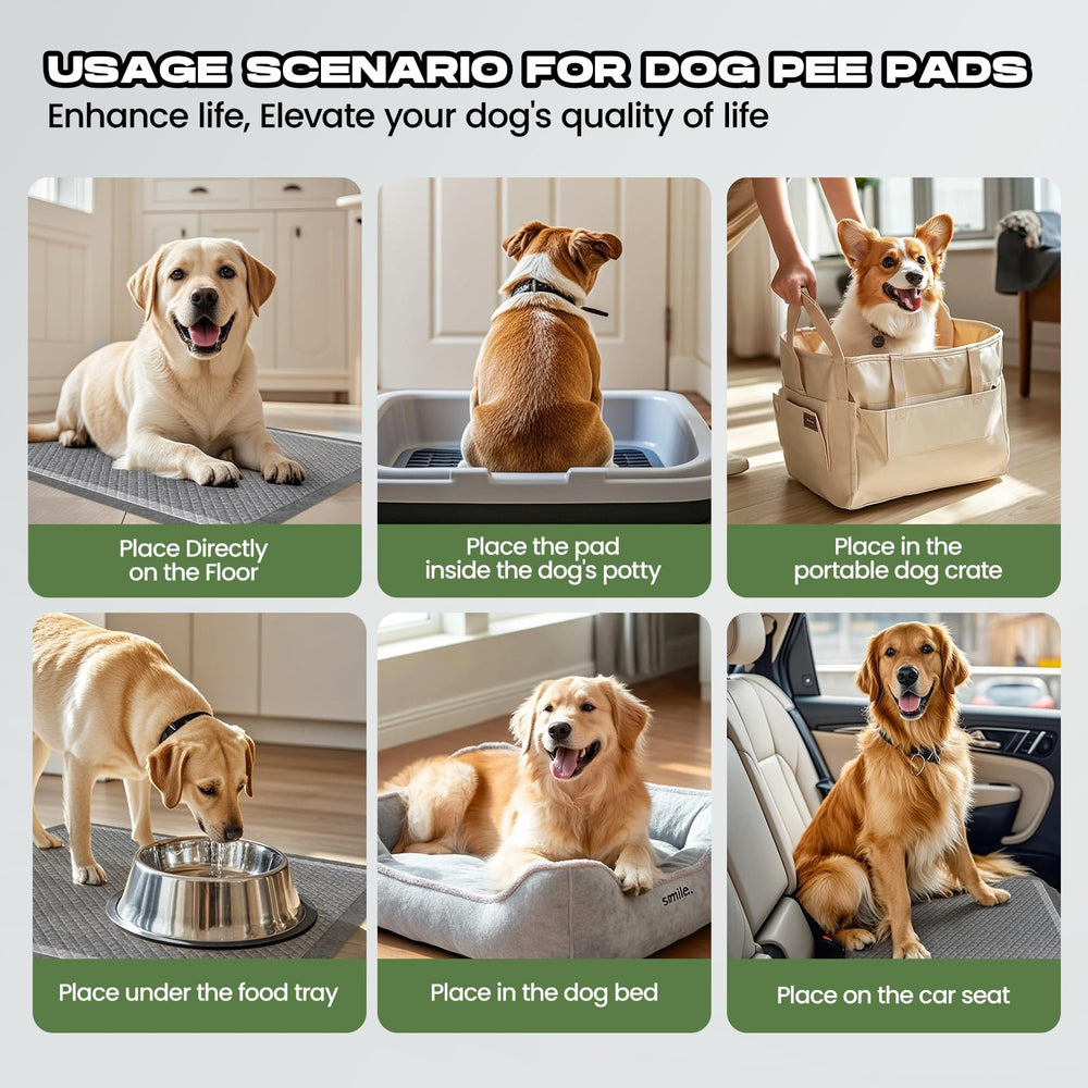 DOGGO DOUG usos múltiples en casa, coche y cama.