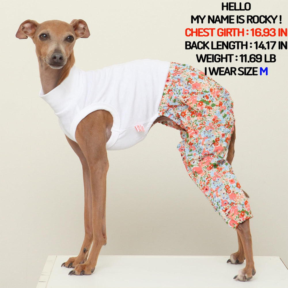 doggystar ajuste-confort galgo italiano para ponerselo fácilmente.