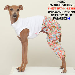 doggystar ajuste-confort galgo italiano para ponerselo fácilmente.
