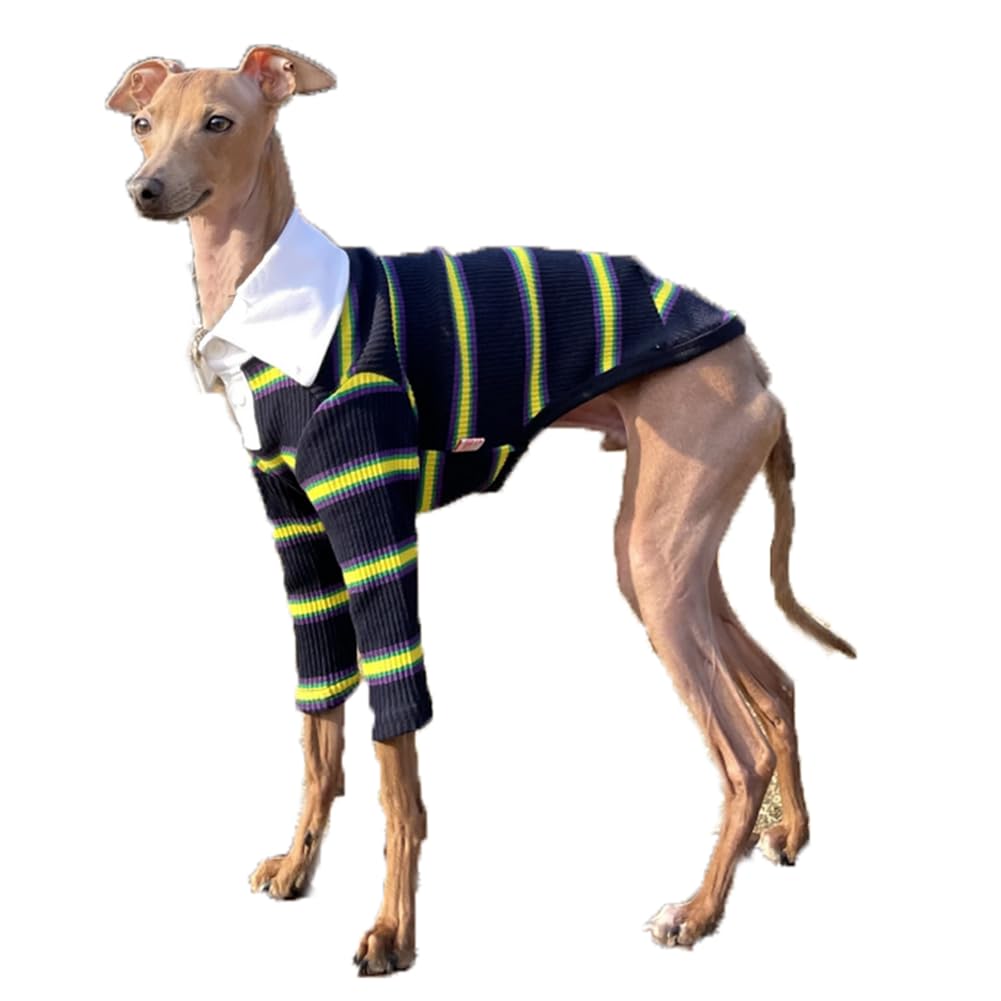 Doggystar camiseta galgo frente cuello navy, ideal para paseos diarios.