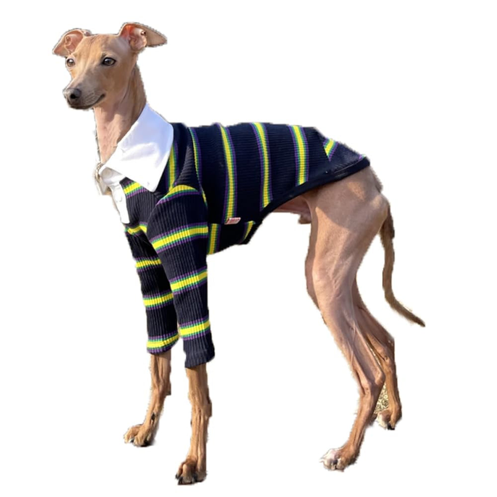 Doggystar camiseta galgo frente cuello navy, ideal para paseos diarios.