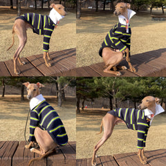 Doggystar camiseta galgo tejido elástico, facilita ponérsela.