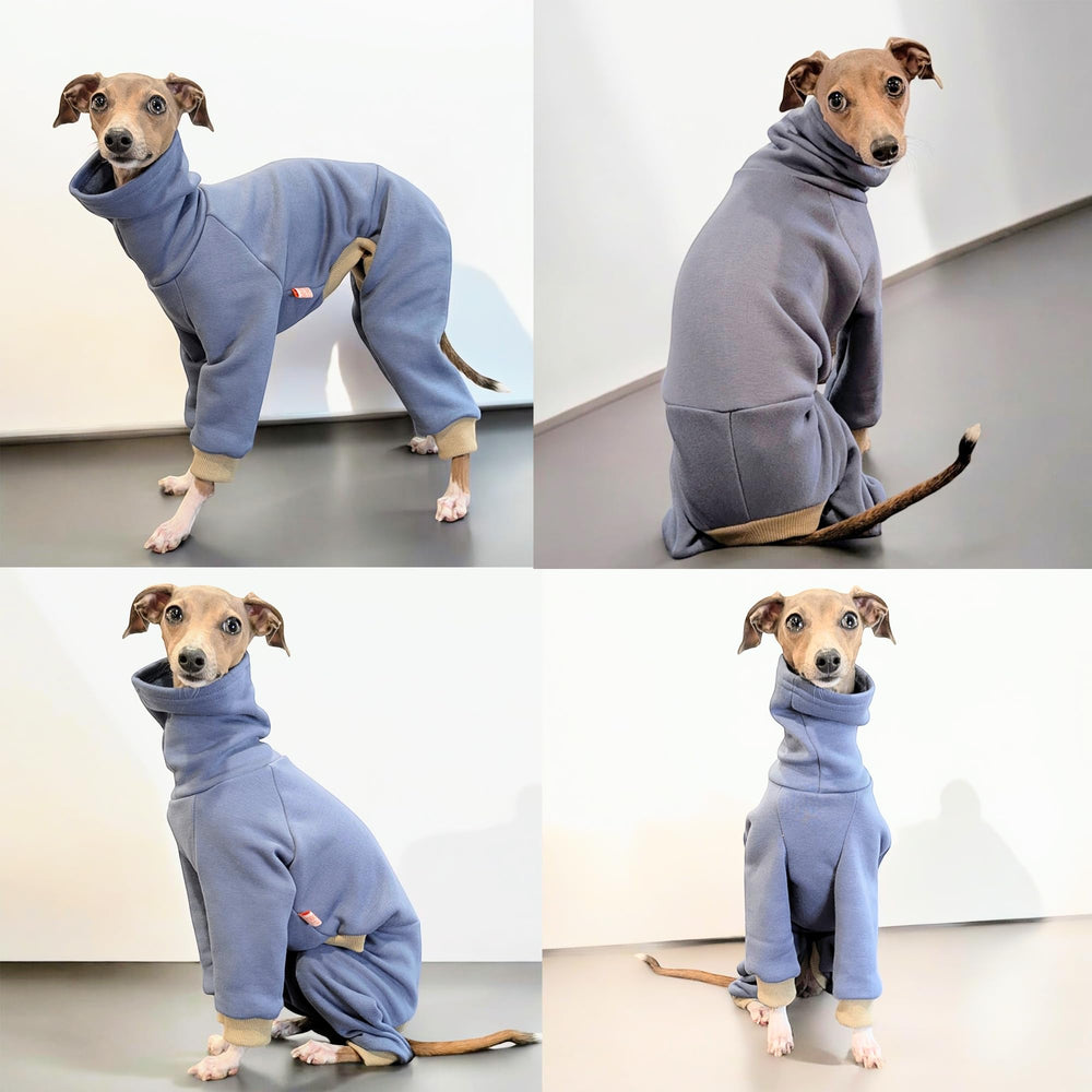 Cuello alto y espalda larga de doggystar para iggy, ajuste cómodo durante paseos fríos.