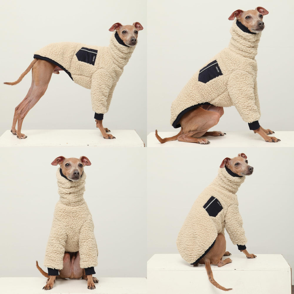 Doggystar galgo italiano camiseta con forro sherpa, comodidad en caminatas frías