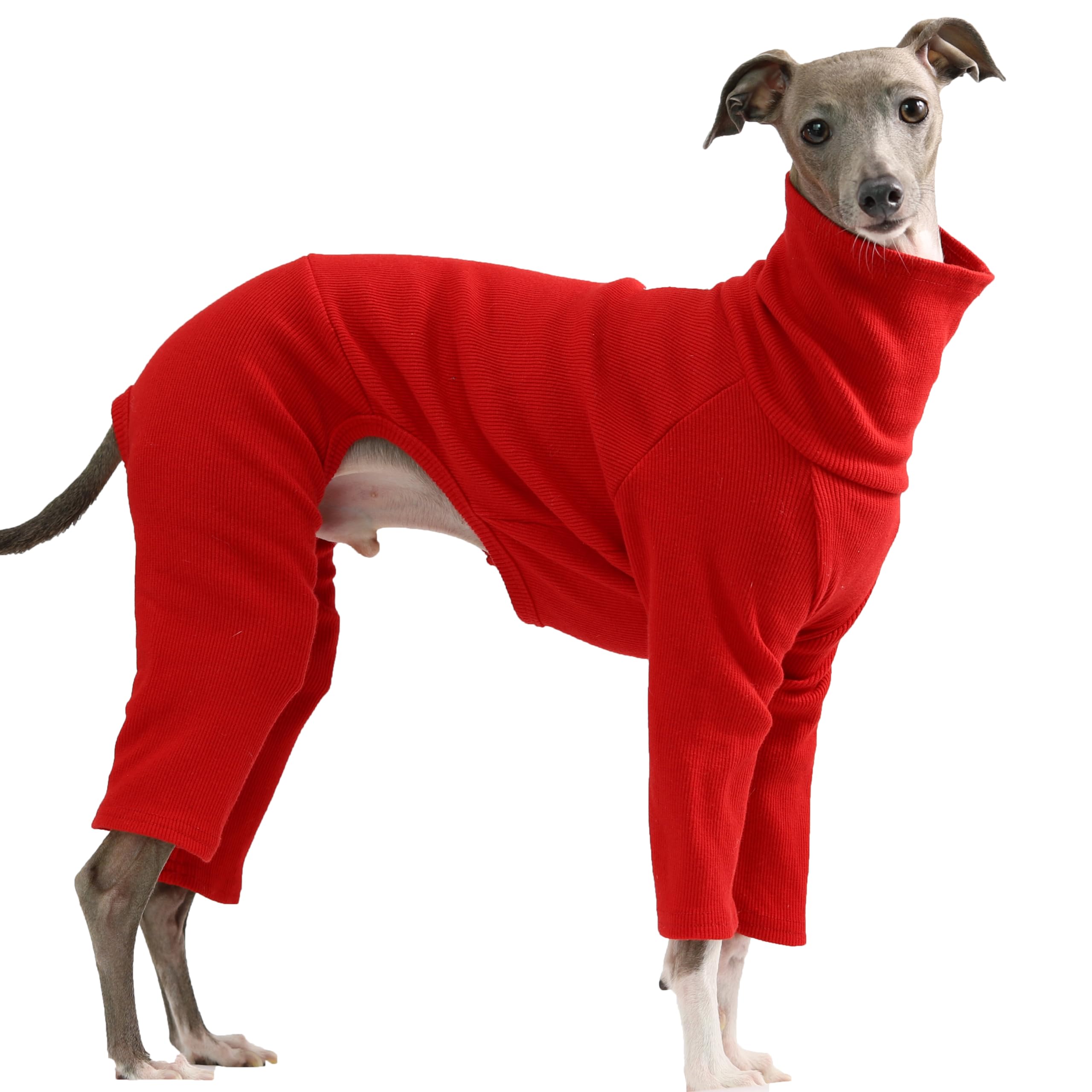 doggystar galgo italiano, mono rojo cómodo para paseos activos