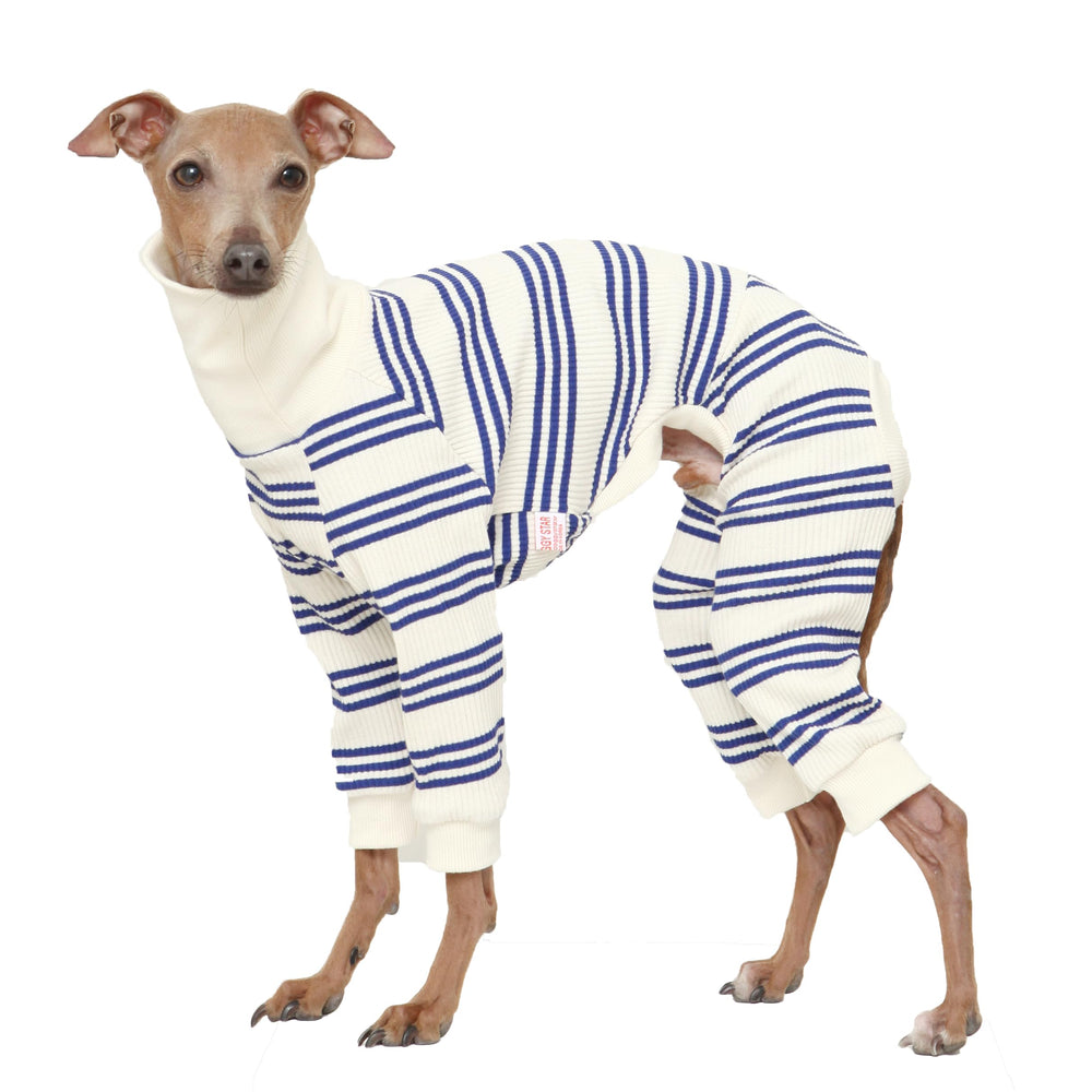 Ropa Doggystar para galgo italiano: mono azul, cómodo y fácil de poner.