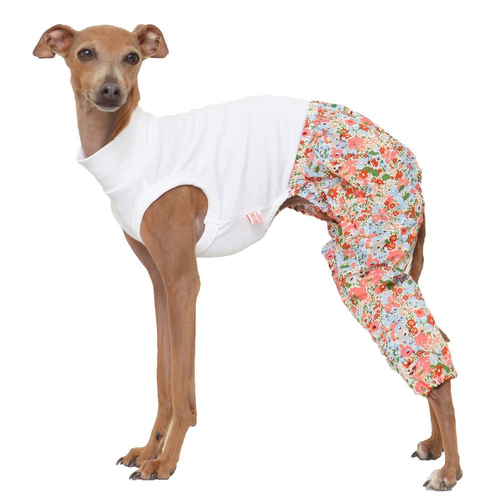 doggystar iggy-onesie mombbe naranja para comodidad diaria del galgo italiano.