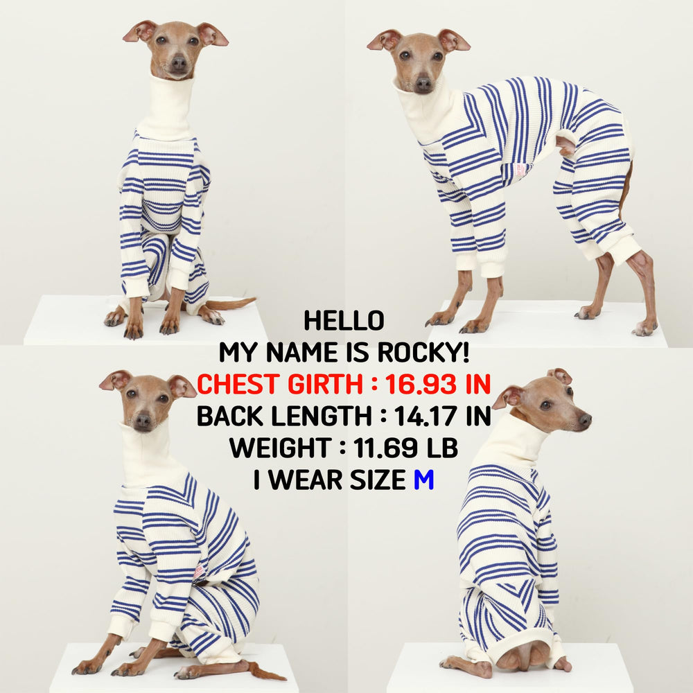 Ropa Doggystar para whippet: mono azul con rayas para movimiento suave.