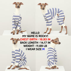 Ropa Doggystar para whippet: mono azul con rayas para movimiento suave.