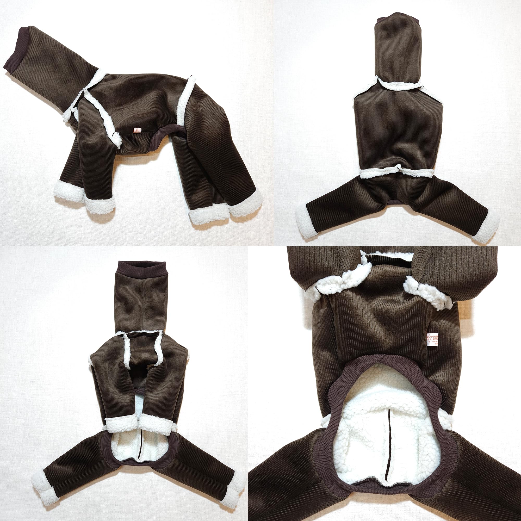 Uso diario invernal con Doggystar: ideal para paseos y parques en invierno.