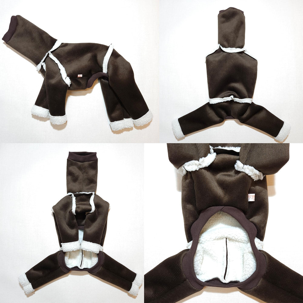 Uso diario invernal con Doggystar: ideal para paseos y parques en invierno.