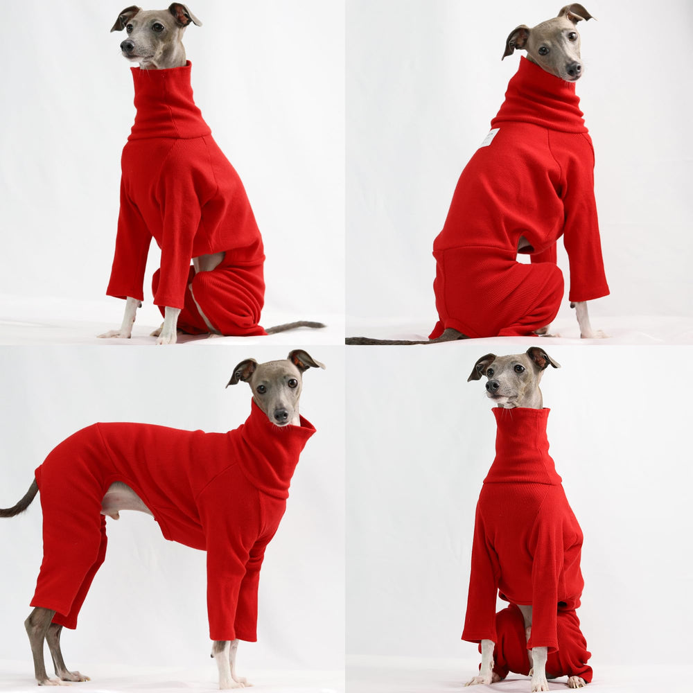 doggystar whippet cuello alto rojo, ideal para salidas tranquilas