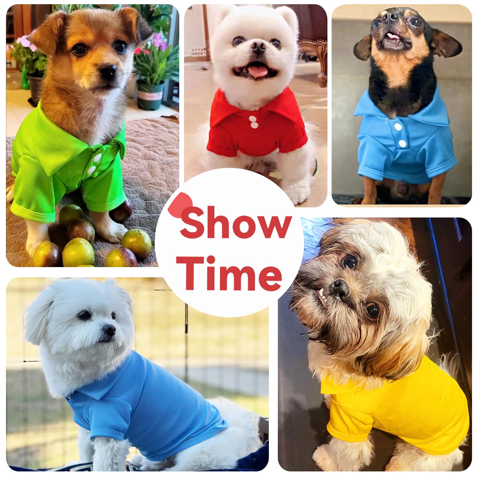DOGGYZSTYLE lavado a máquina mantiene forma tras cada lavado
