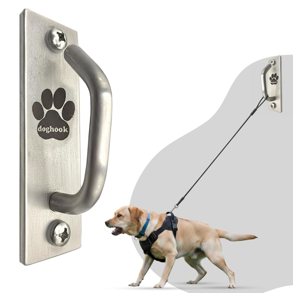 Doghook Canine Hitch: solución de manejo de correa para interiores y exteriores.