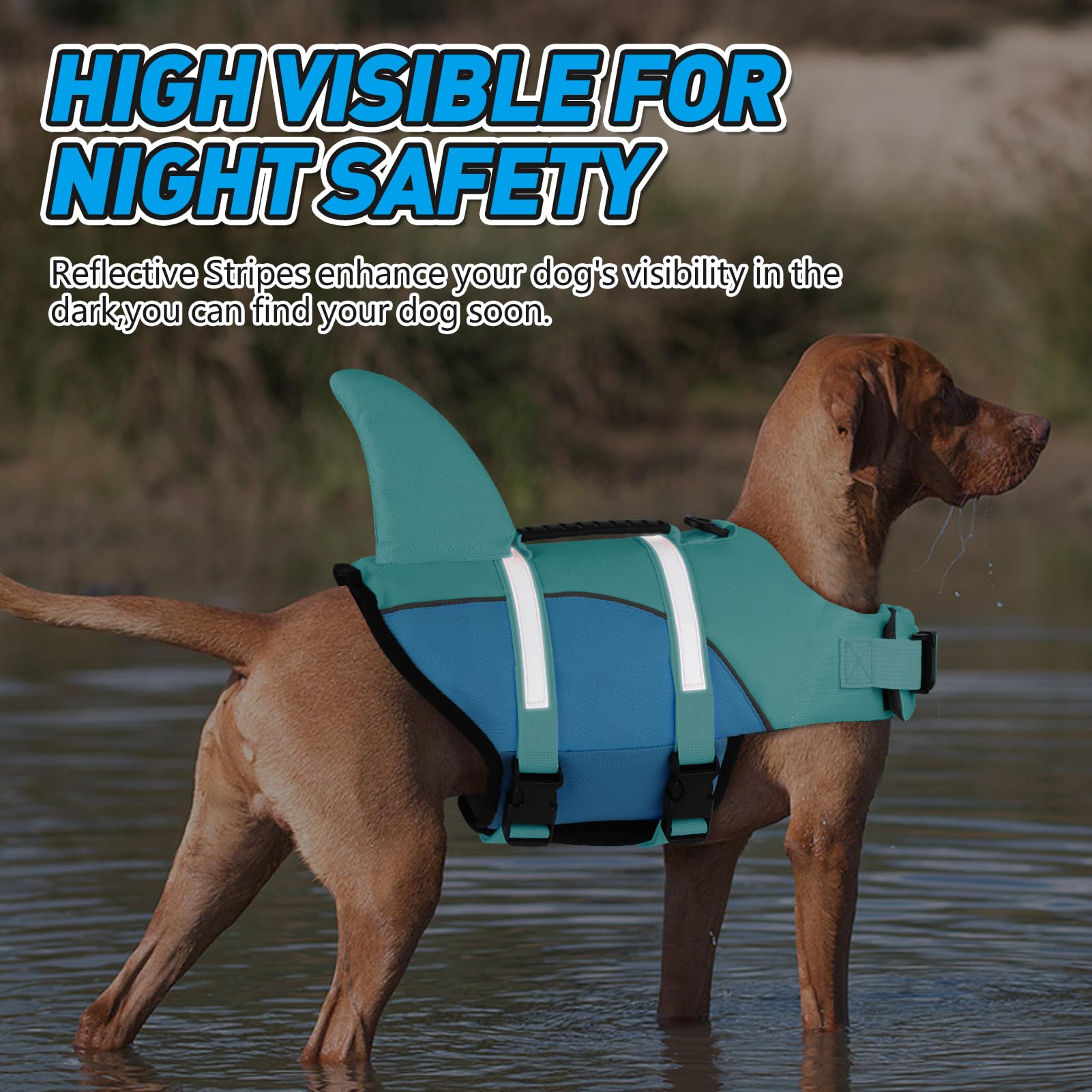 Doglay chaleco para hidroterapia suave y apoyo al movimiento.
