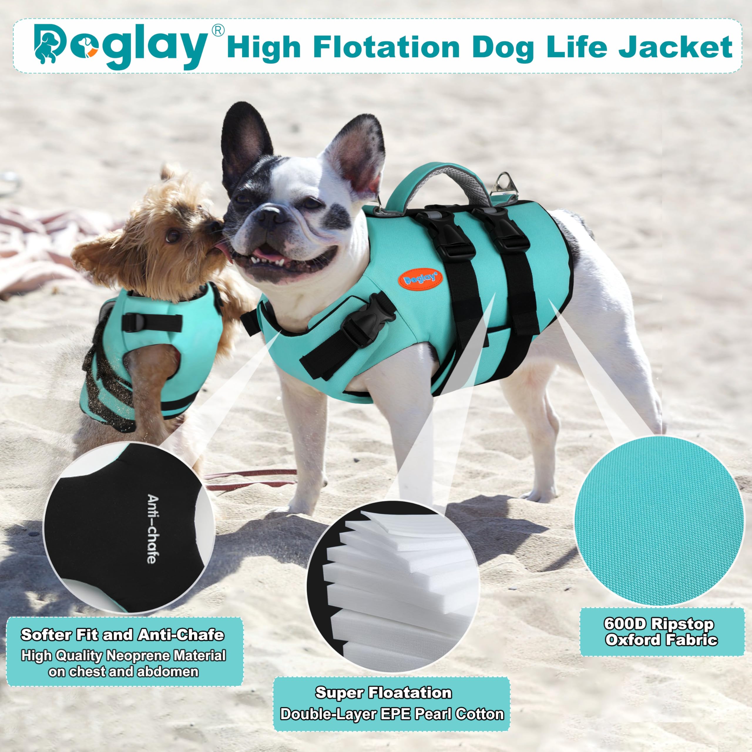 Doglay doble anilla-D para correa y accesorios durante actividades acuáticas