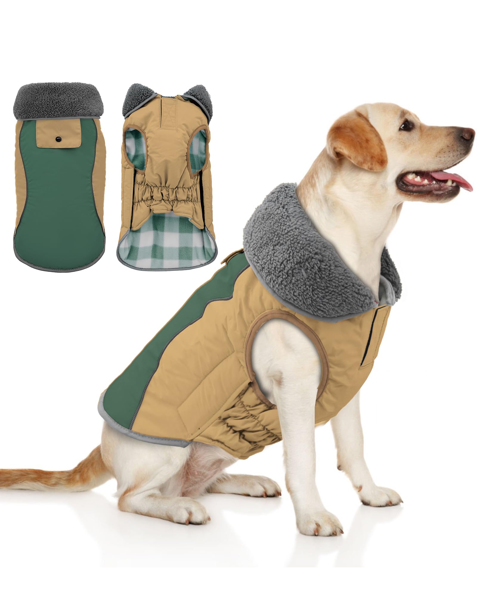 Doglay jaqueta impermeable para perros protege de la lluvia durante paseos