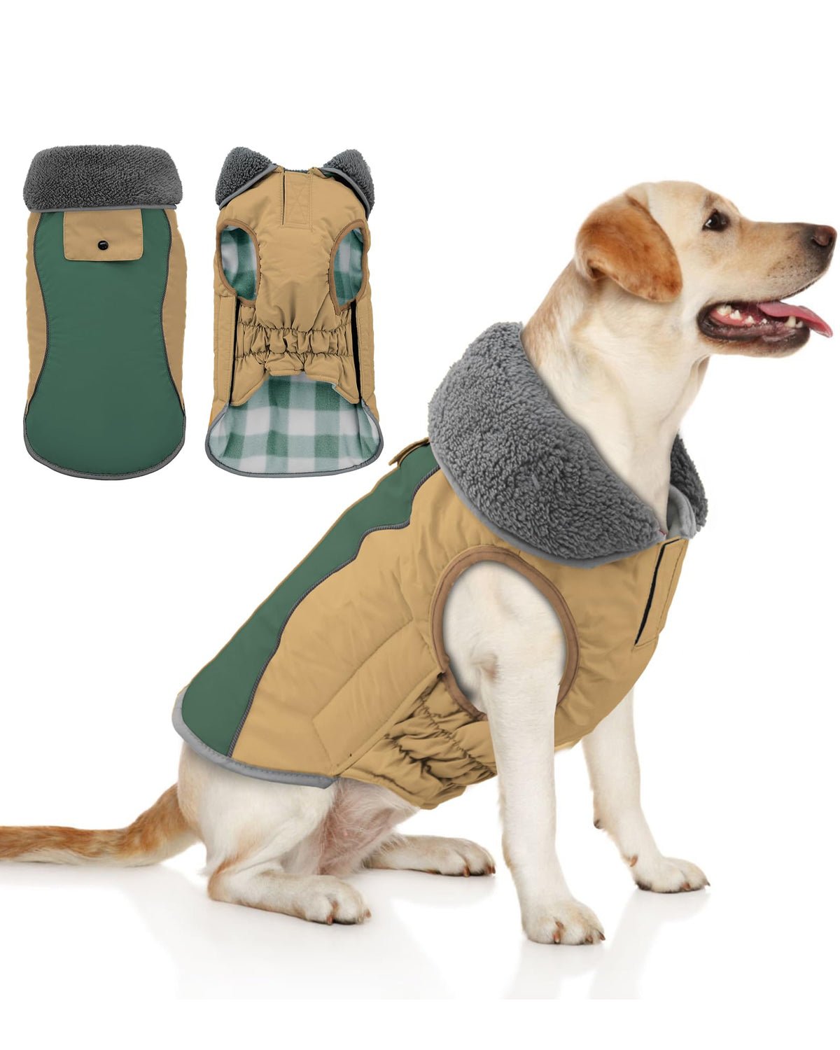 Doglay jaqueta impermeable para perros protege de la lluvia durante paseos
