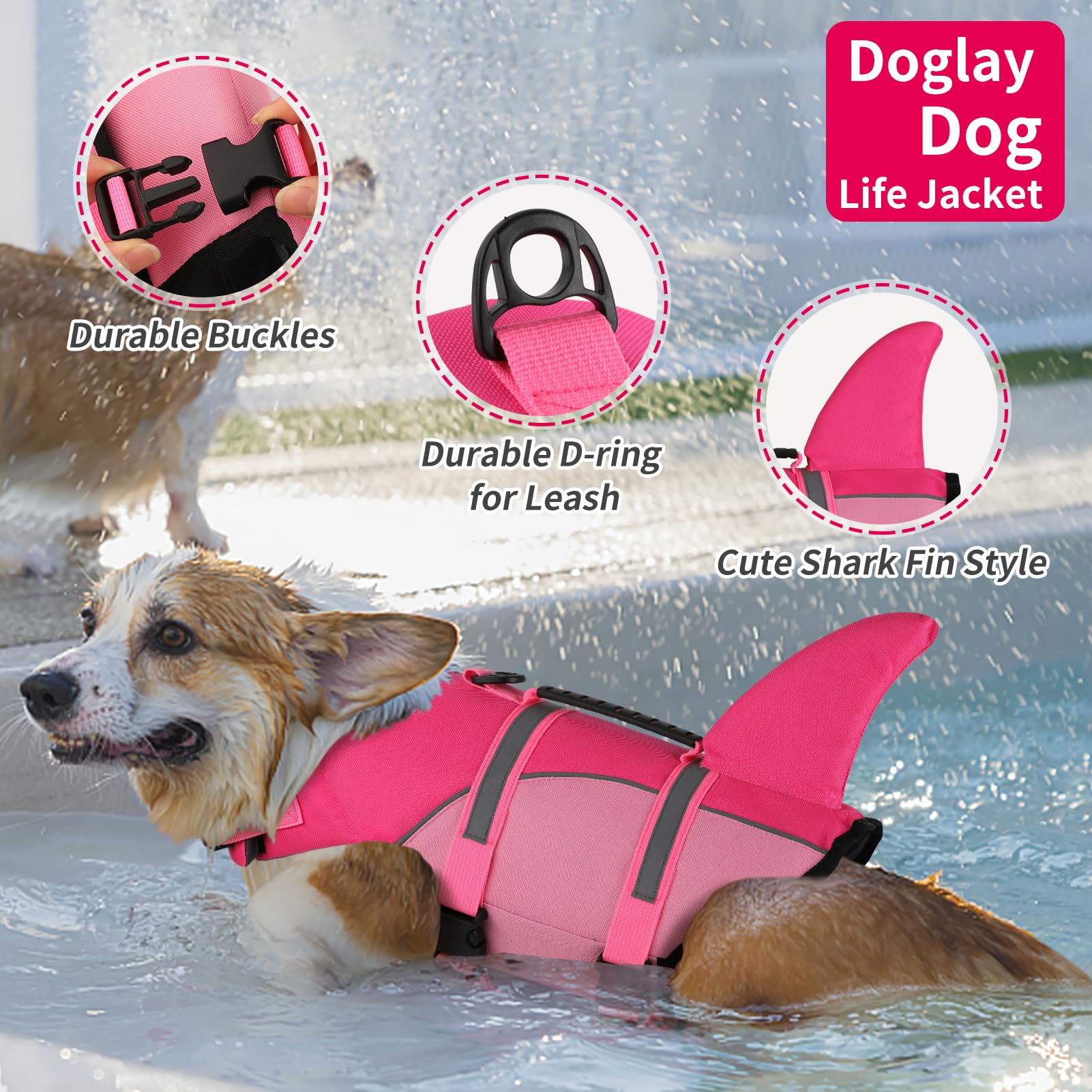 Doglay mango-rescate: acceso rápido para ayudar a tu mascota desde la orilla o embarcación.