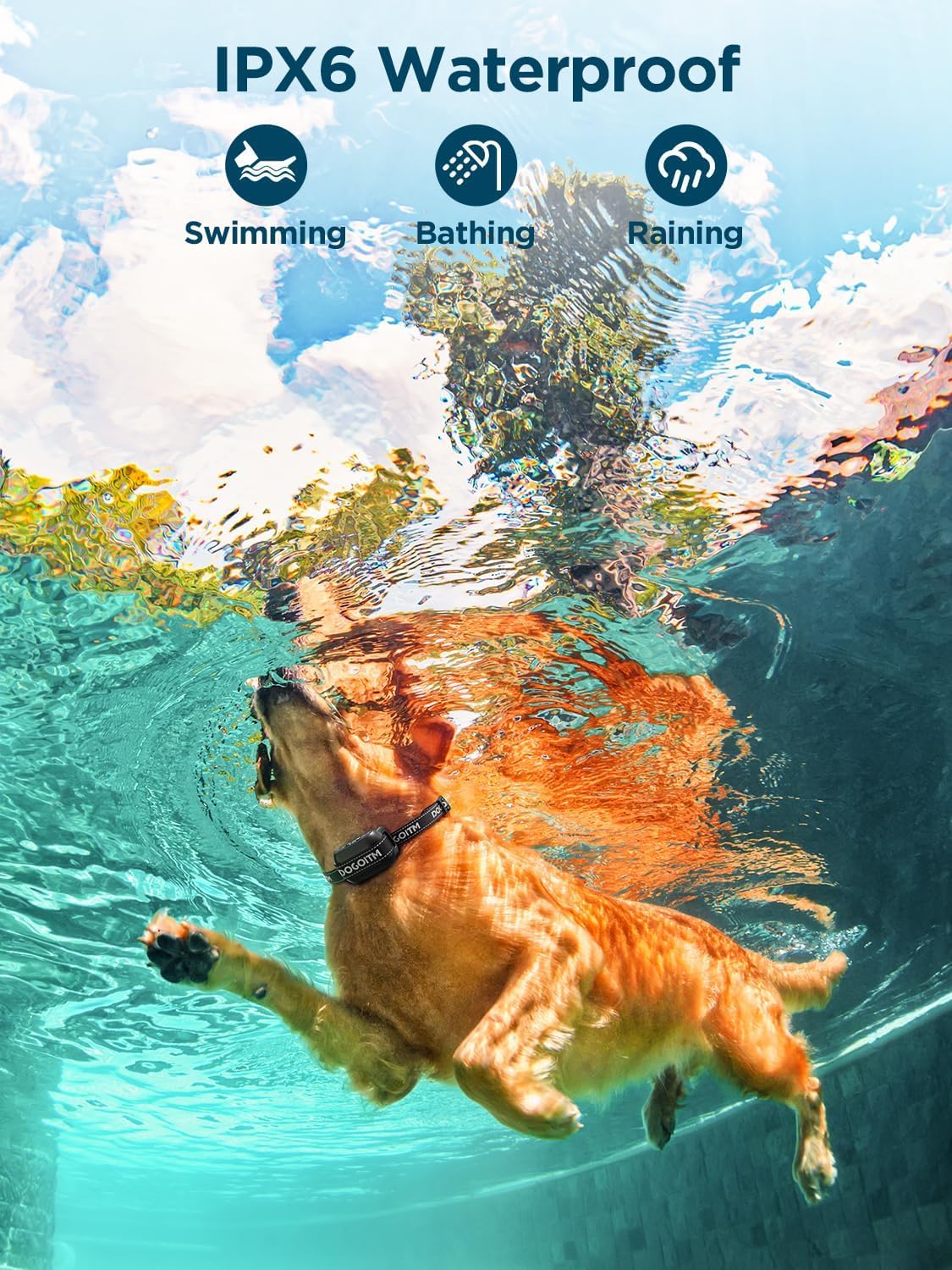 DOGOITM configuración fácil sin app para instalación rápida.