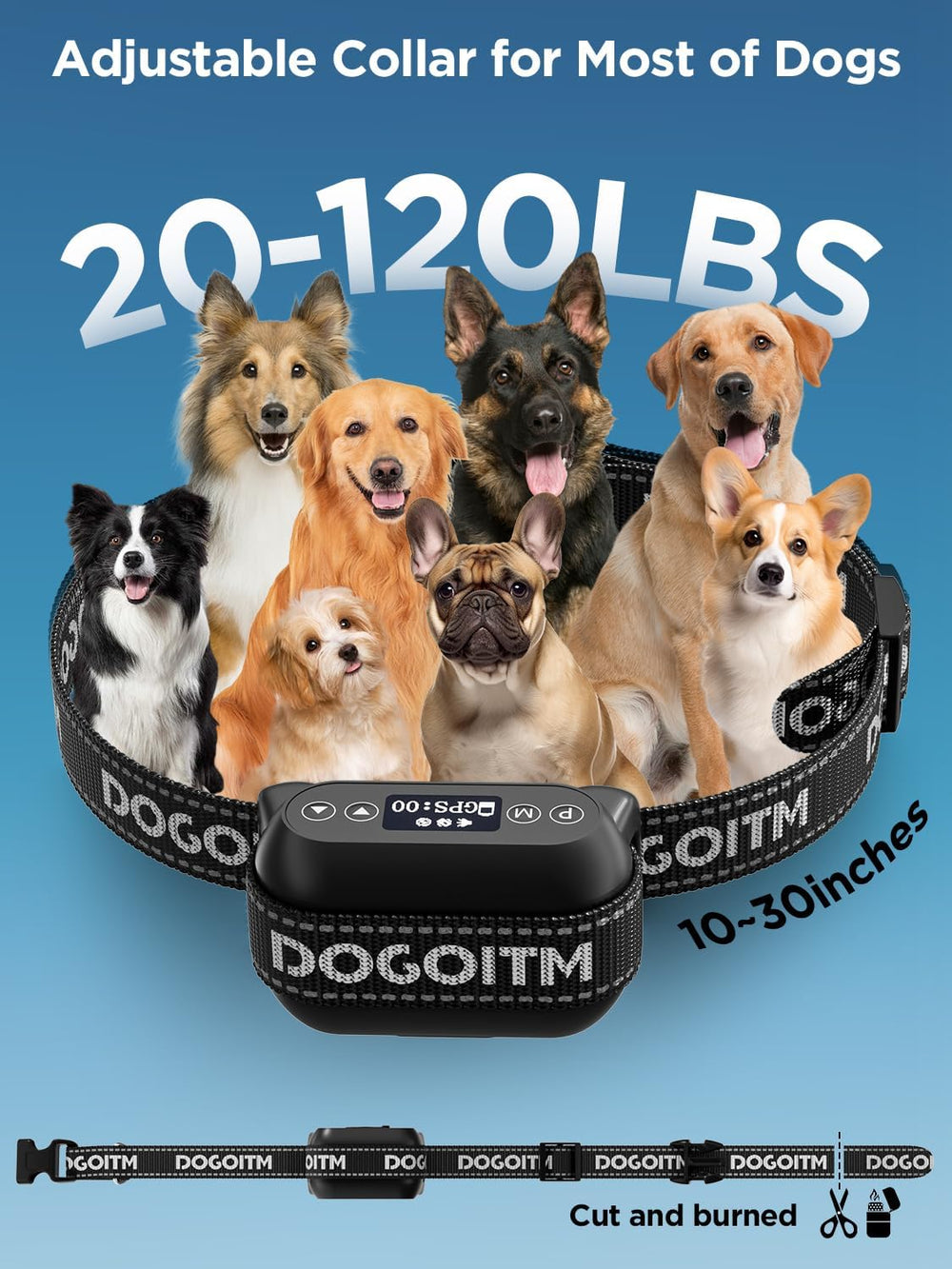 Diseño resistente al agua IPX6 para uso exterior de DOGOITM.