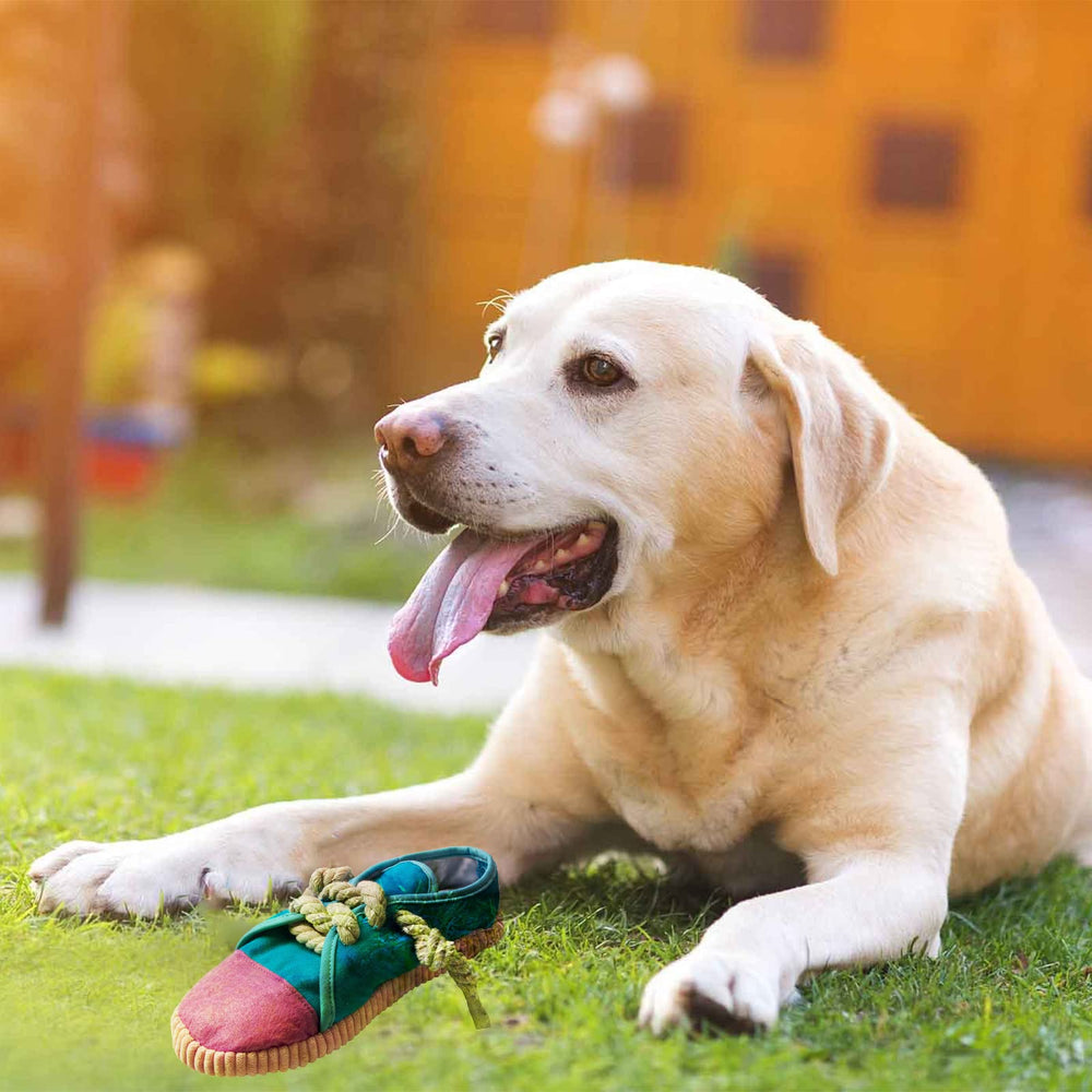Zapato chirriante DOGOWU, ideal para fortalecer la interacción durante el juego