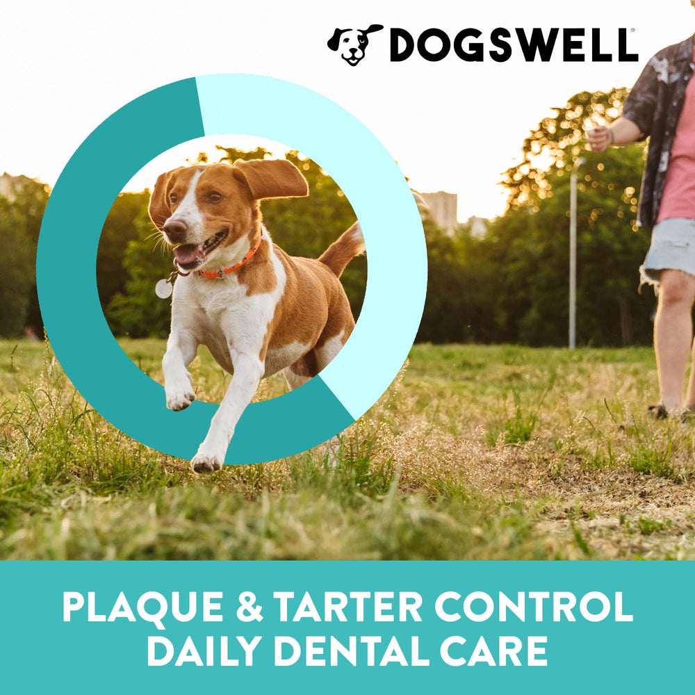 Aroma a menta de Dogswell Dental Jerky para aliento fresco.